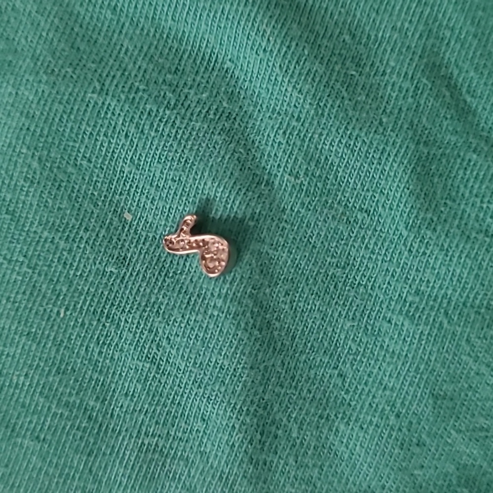 Origami Owl Charm